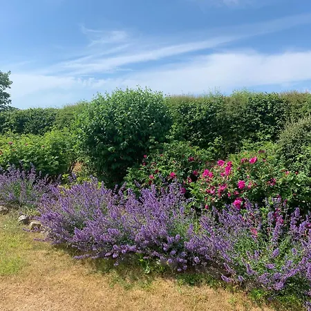 Hof Kracht Mit Ostsee Blick Nahe Kap Arkona Διαμέρισμα *
