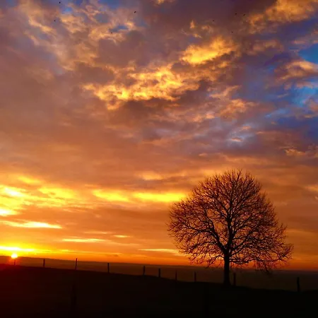 Hof Kracht Mit Ostsee Blick Nahe Kap Arkona *